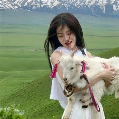 他们杀害了朵瑞西修女 在线观看
